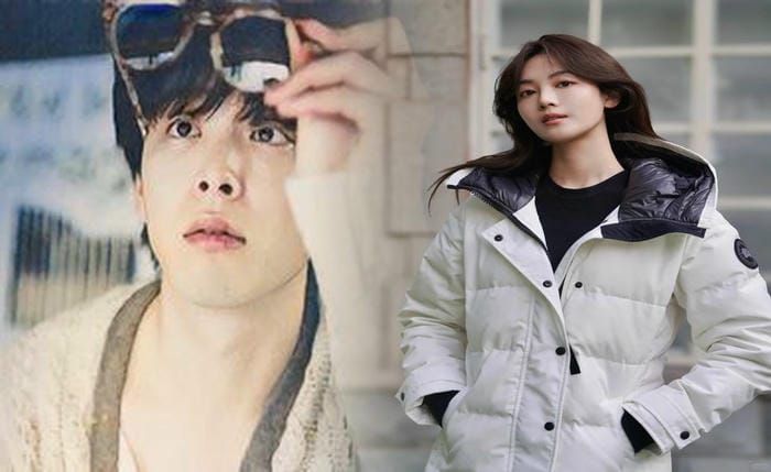 昔 の カナダ グース