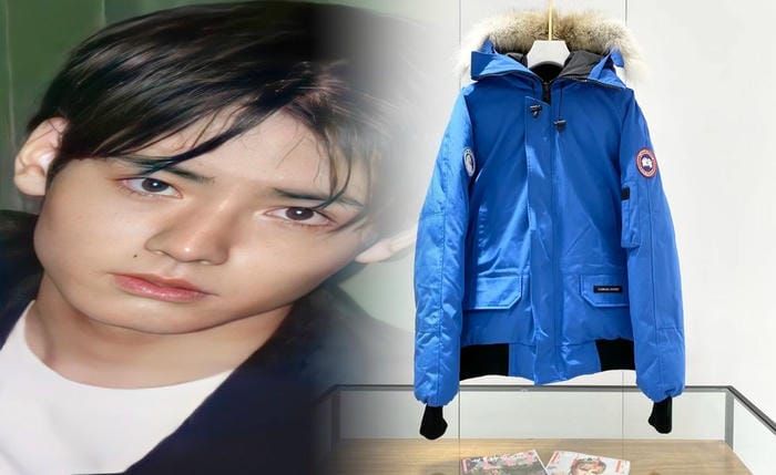 コストコ 富谷 カナダ グース