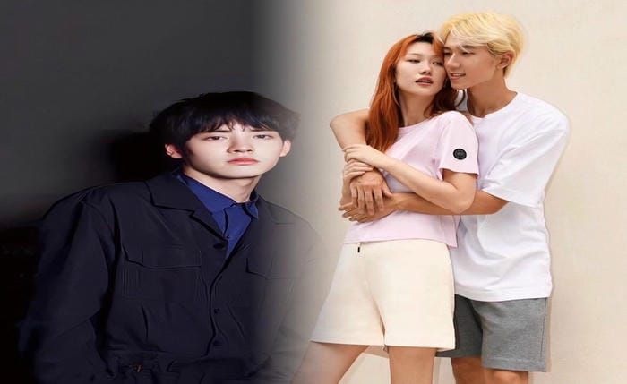 ノース フェイス カナダ グース ボア