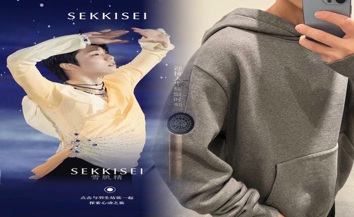 カナダ グース 壁紙