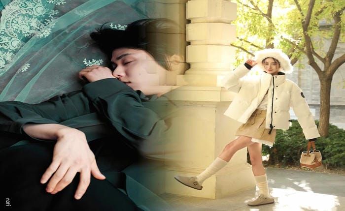 カナダ グース chateau