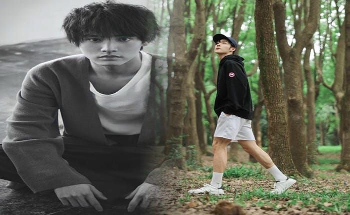 north face カナダ グース