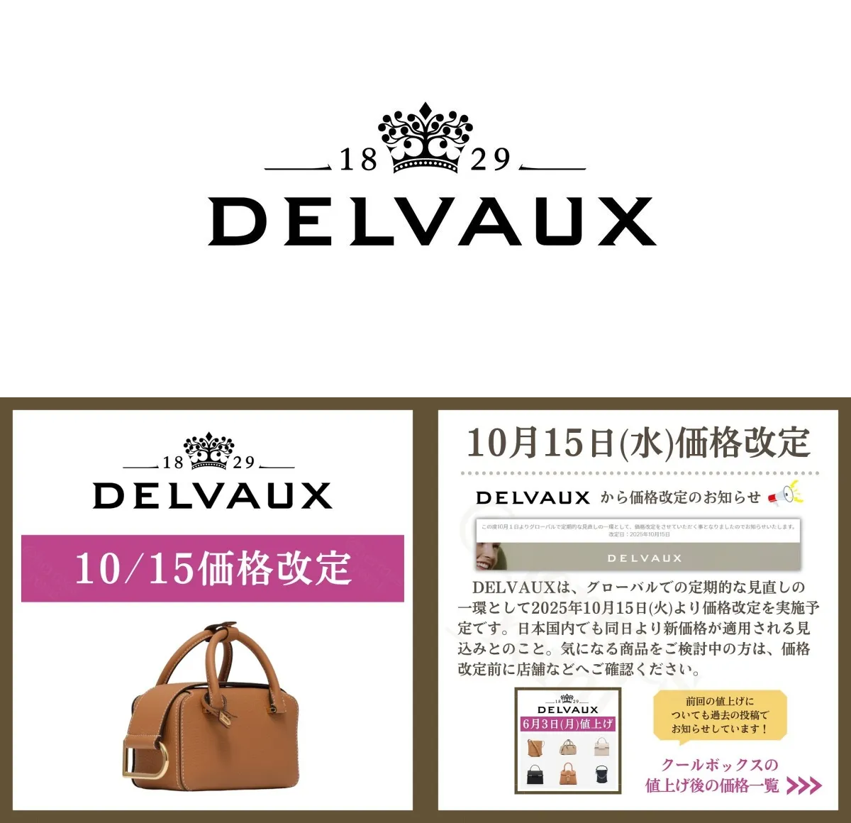 【2025年10月最新情報】デルヴォー 価格改定｜値上げ対象モデルと改定率の予測・改定の背景・過去の価格推移・正規店と並行輸入の価格差・値上げ前に買うべきモデルを徹底解説