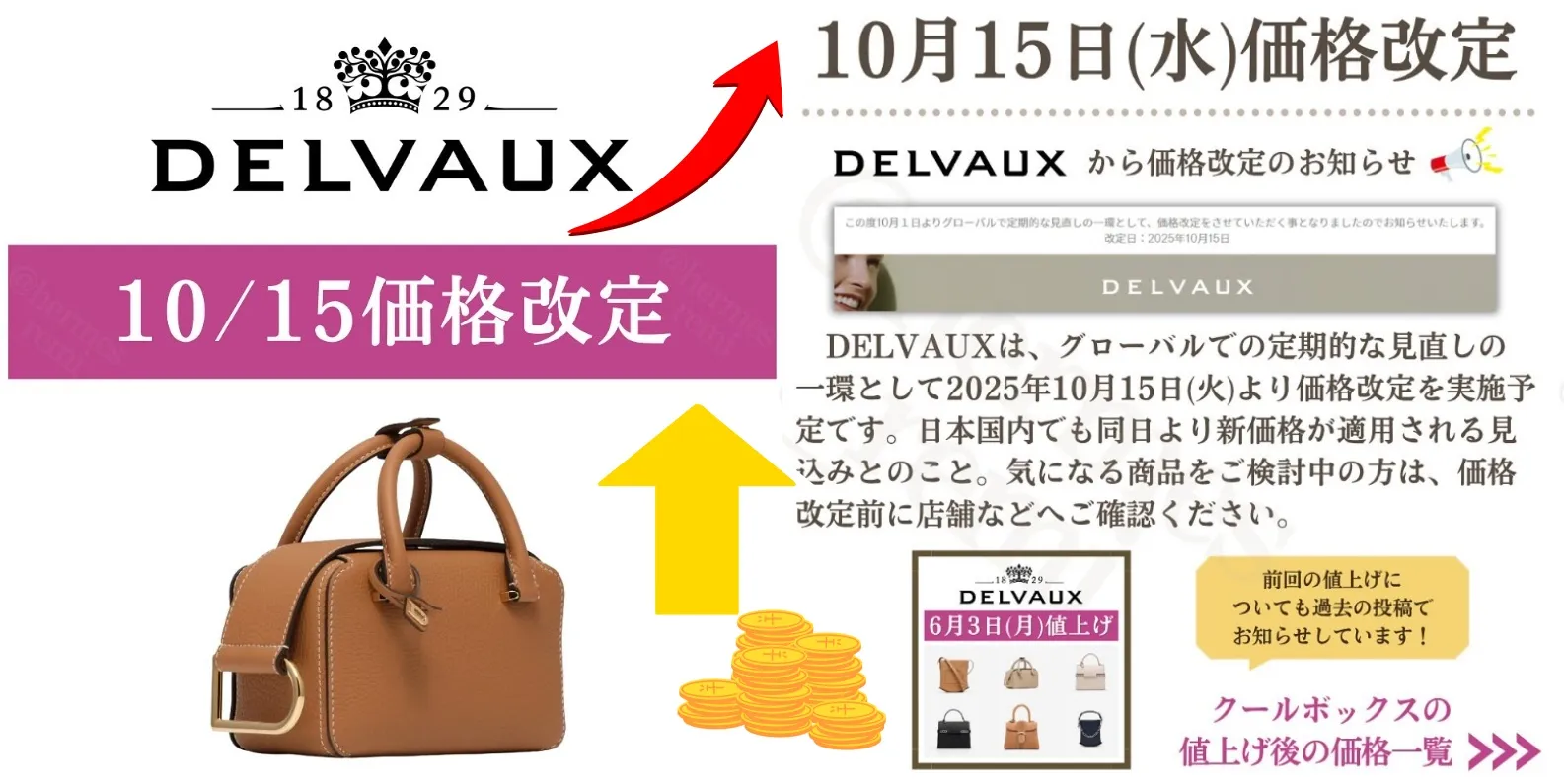 1. デルヴォー値上げ 2025年10月15日｜今年2回目の公式発表内容.webp