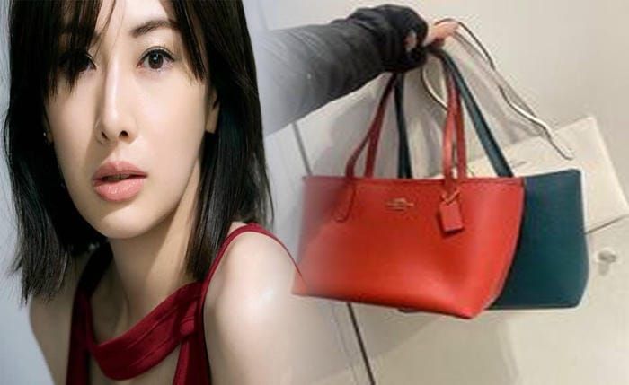 コーチ ショルダー バッグ 小さめ