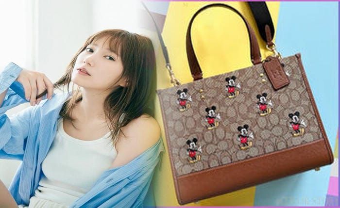 コーチ バッグ 持ち 手 ベタベタ