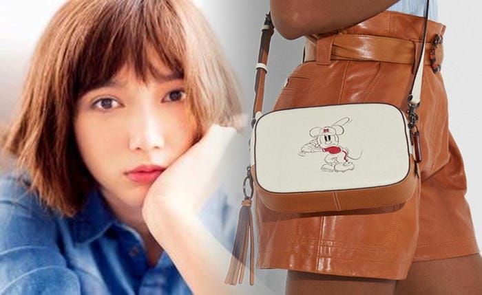 20 年 前 の コーチ の バッグ