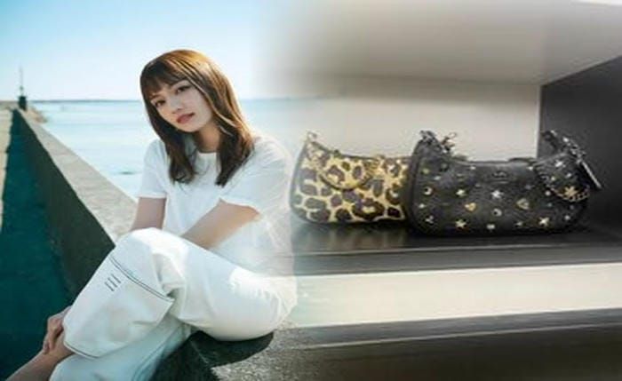 coach 2way ショルダー バッグ