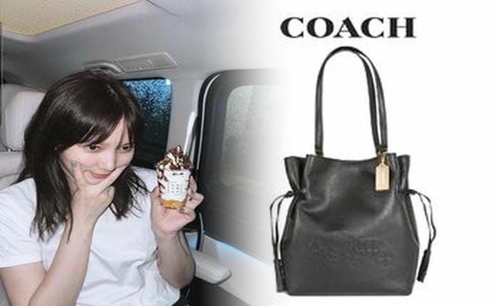 coach ミニ バッグ