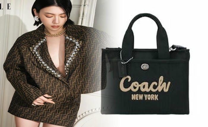 コーチ ショルダー バッグ 人気