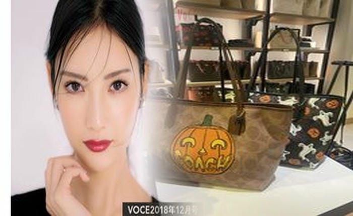 20 年 前 の コーチ の バッグ