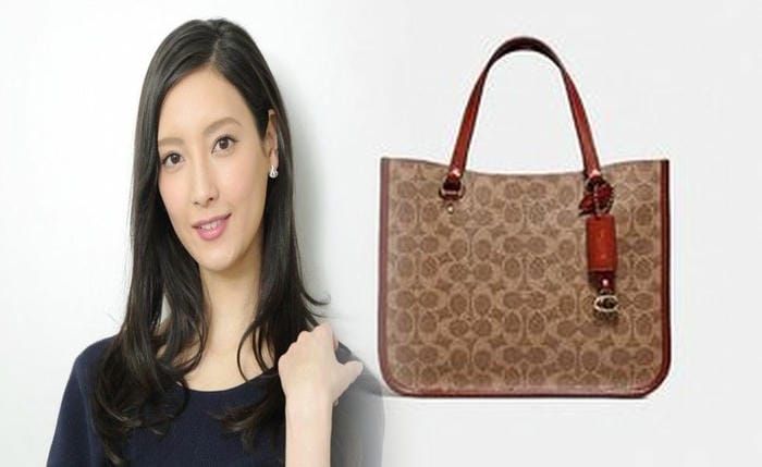 coach ピンク ショルダー バッグ