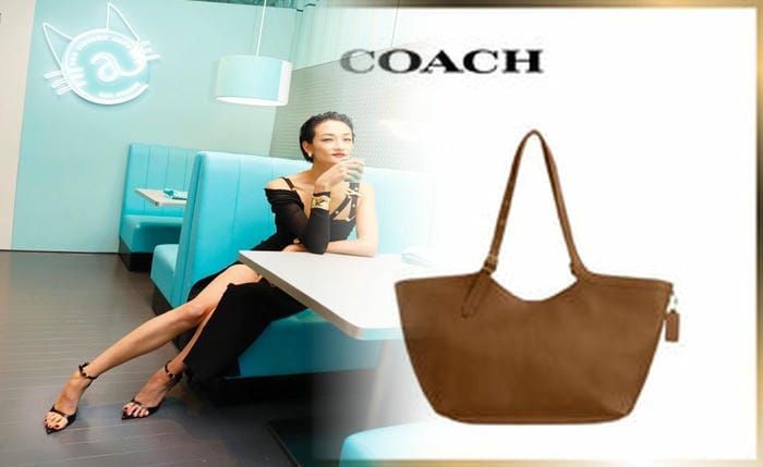 coach シグネチャー ショルダー バッグ