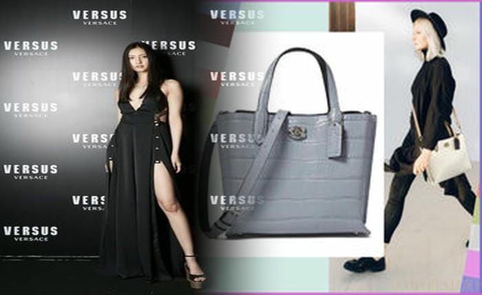 coach ミニ バッグ