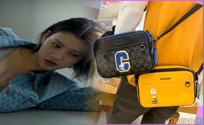 コーチ バッグ 新作 レディース