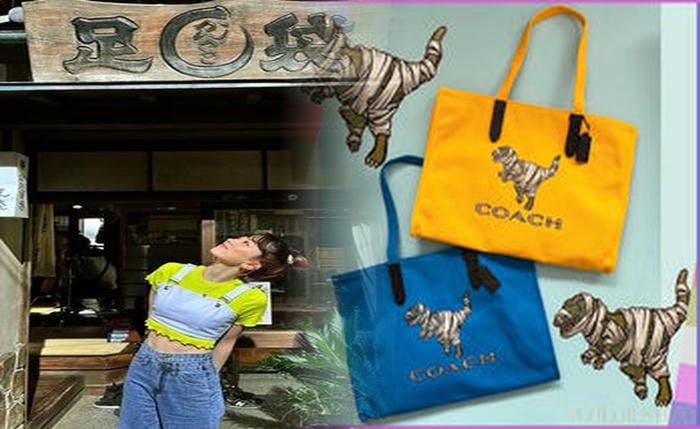 coach ショルダー バッグ 赤