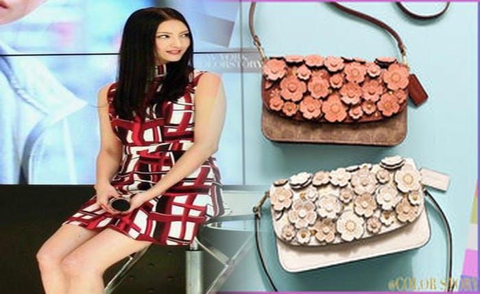 コーチ バッグ クリーニング 自宅