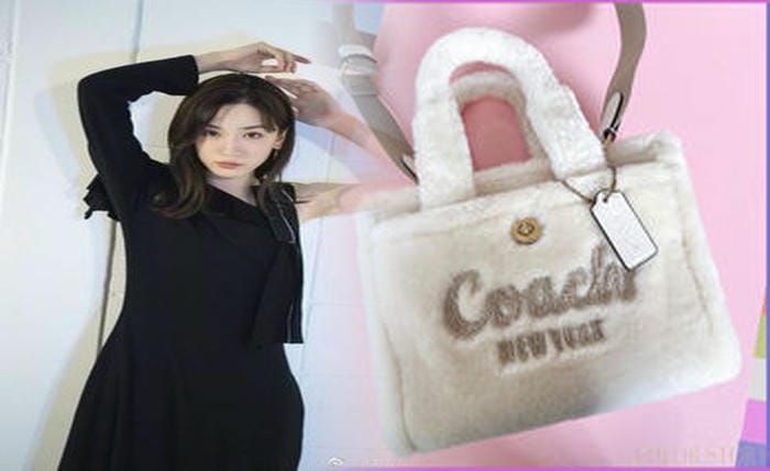 コーチ ショルダー バッグ 大きめ