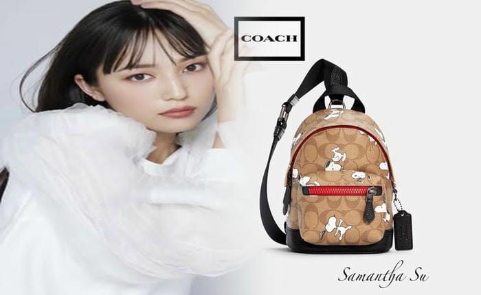 20 年 前 の コーチ の バッグ