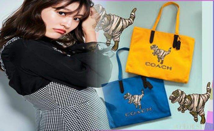 コーチ メンズ セカンド バッグ