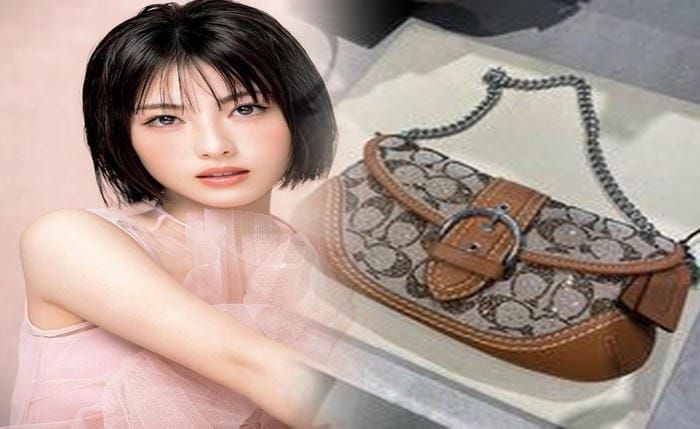 コーチ ショルダー バッグ 大きめ