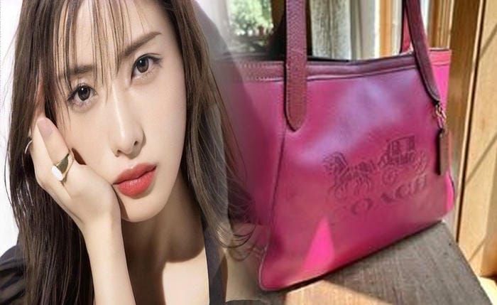 ミニ ショルダー バッグ コーチ