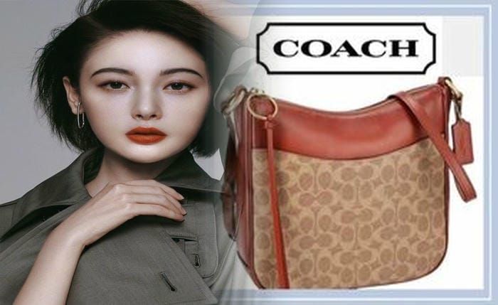 コーチ レディース バッグ アウトレット