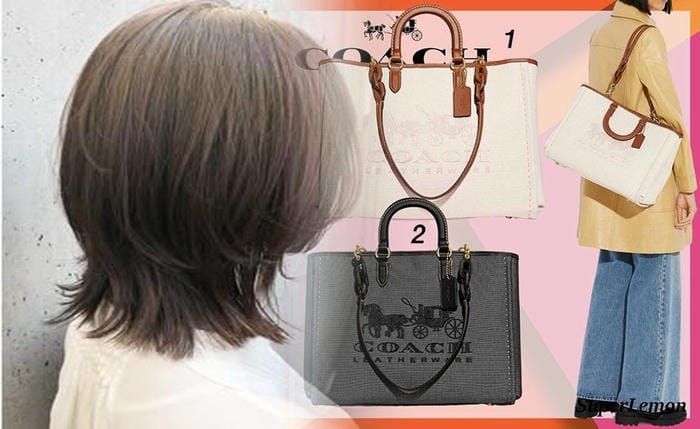 コーチ シグネチャー 2way ショルダー バッグ