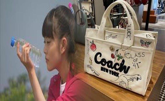 コーチ 通勤 バッグ レディース