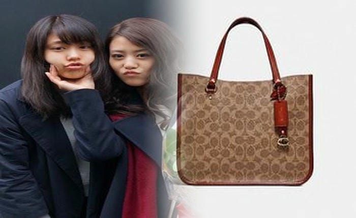 coach ピンク ショルダー バッグ