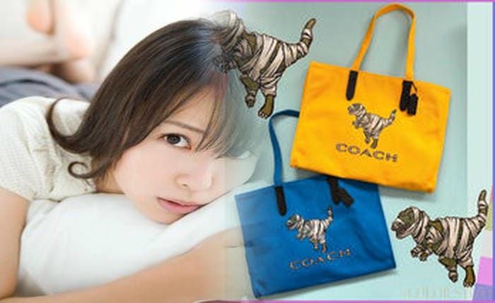 ミニ ショルダー バッグ コーチ