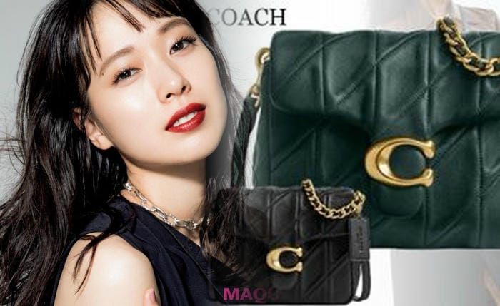 コーチ バッグ クリーニング 自宅