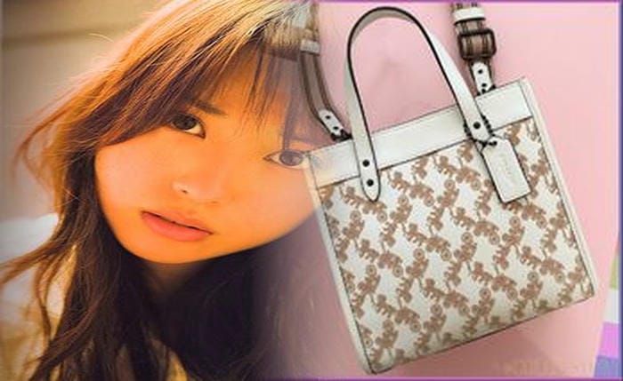 coach メンズ バッグ アウトレット