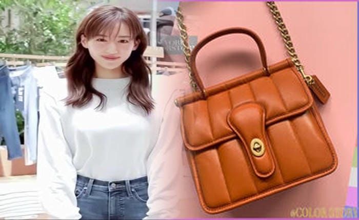 コーチ バッグ 汚れ 落とし 方