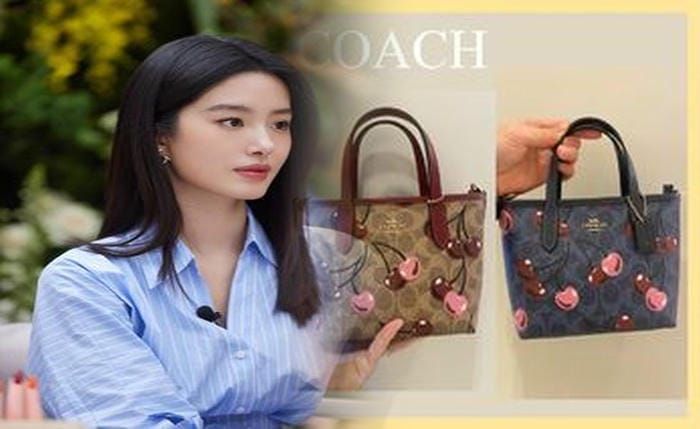 coach ショルダー バッグ レディース