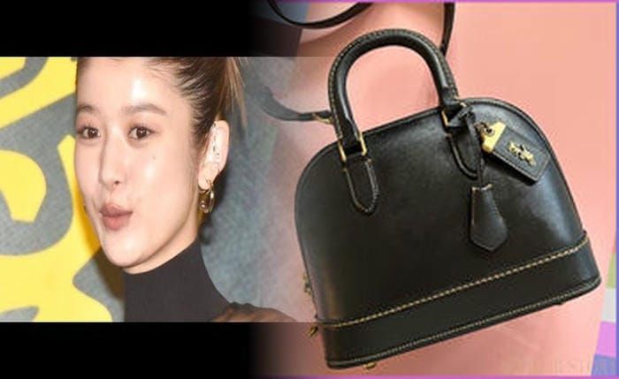 coach シグネチャー ショルダー バッグ