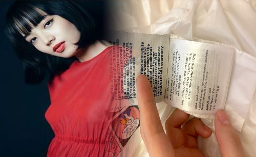 モンクレール ニット ダウン サイズ 感