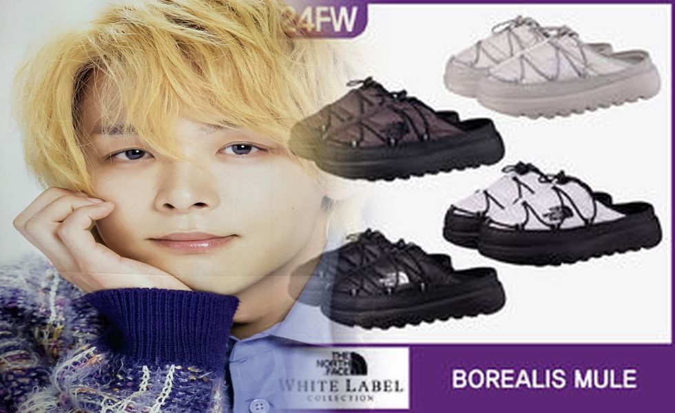 ノース フェイス 靴 ゴアテック ス