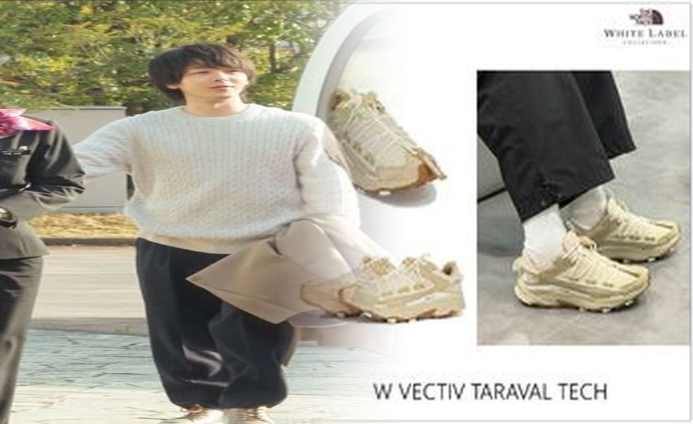 トレッキング シューズ レディース ノース フェイス