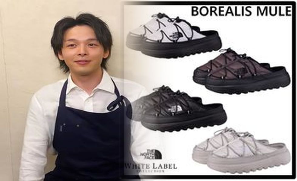 ノース フェイス トレッキング シューズ レディース ゴアテック ス