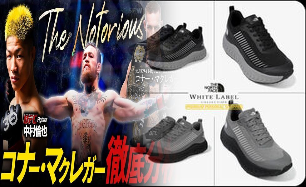 登山 靴 レディース ノース フェイス