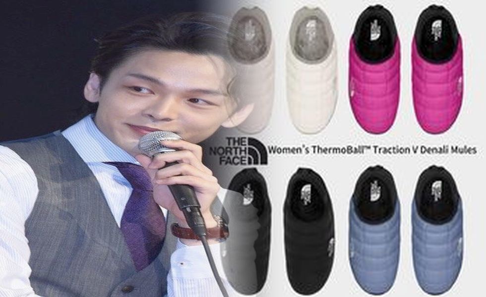 ノース フェイス ウォーター プルーフ シューズ