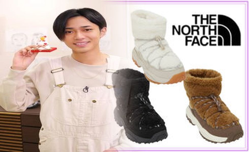 ノース フェイス ゴアテック ス シューズ メンズ