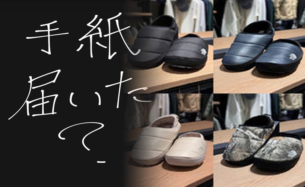 ノース フェイス トレッキング シューズ ローカット