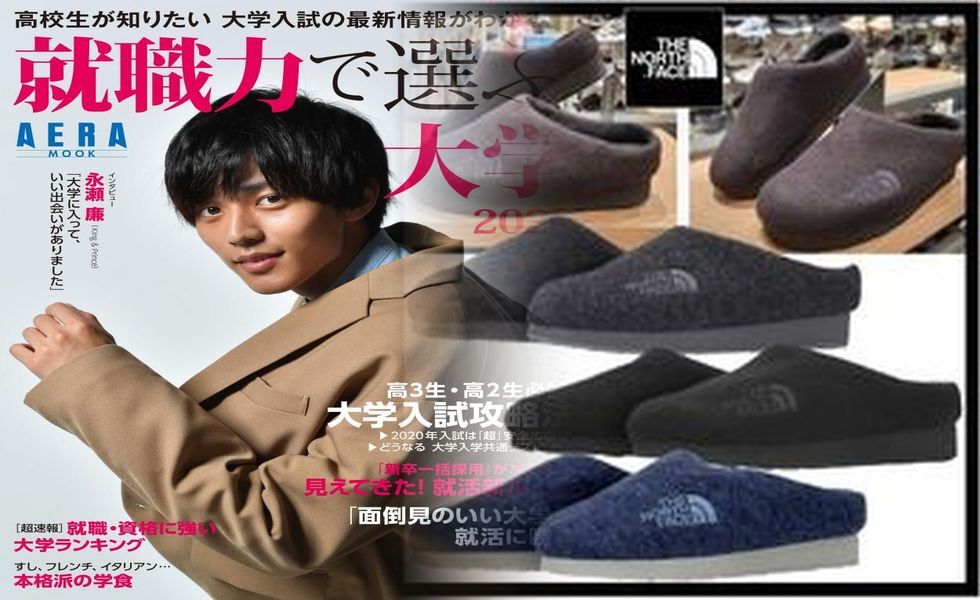 ノース フェイス レディース トレッキング シューズ