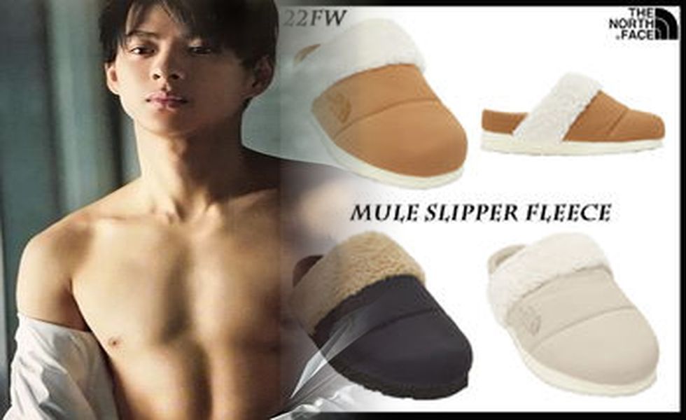 ノース フェイス トレッキング シューズ ローカット