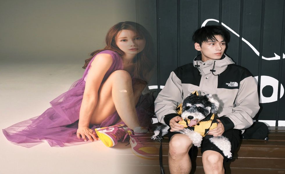 ヘッドカバー 犬