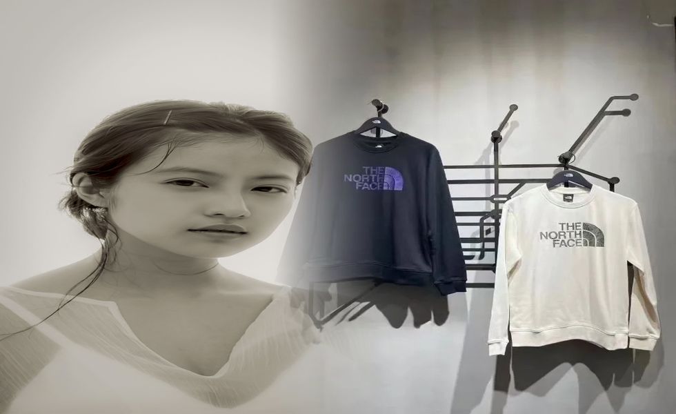 ロゴ ノース フェイス