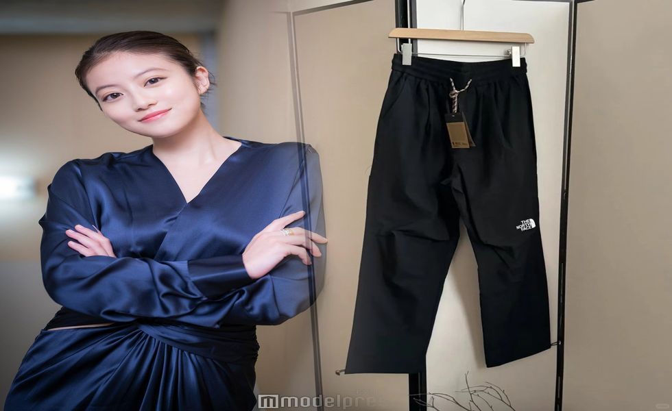 ノース フェイス フード