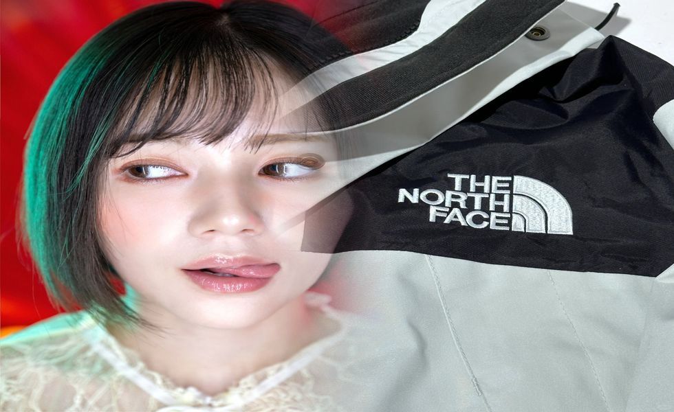 ベスト ノース フェイス